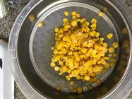 الذرة الحلوة الصفراء الناعمة لتجهيز الأغذية
